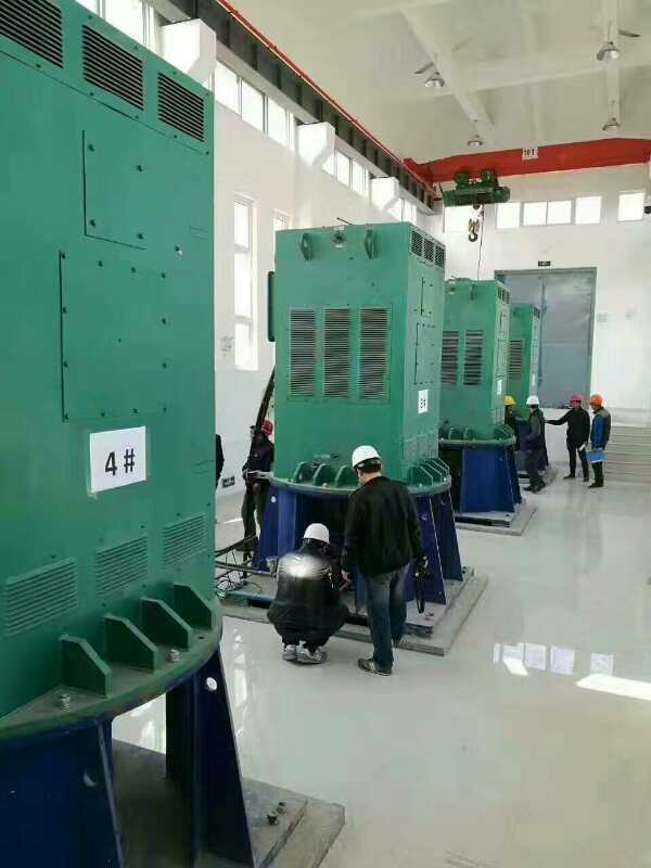 邢台某污水处理厂使用我厂的立式高压电机安装现场